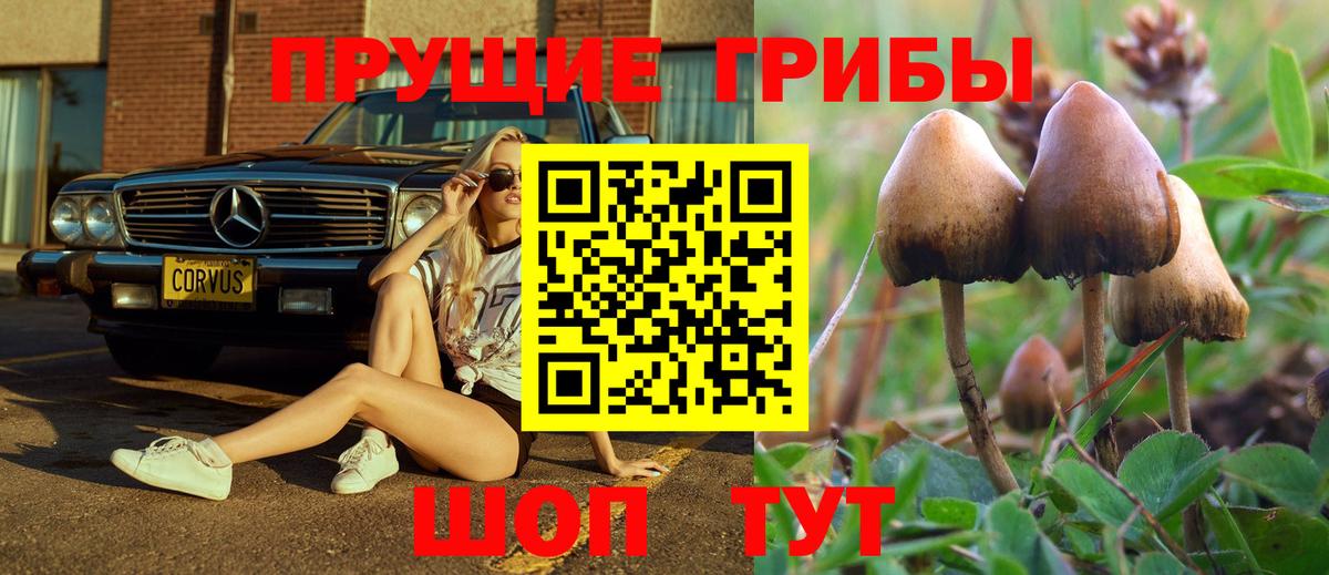 Донецк  Псилоцибиновые грибы прущие грибы  Псилоцибиновые грибы Psilocybe  Вход с VPN 